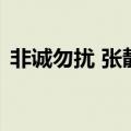 非诚勿扰 张靓（关于非诚勿扰 张靓的介绍）
