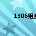 1306组合（关于1306组合的介绍）