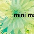 mini msi（关于mini msi的介绍）