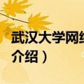武汉大学网络中心（关于武汉大学网络中心的介绍）