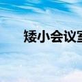 矮小会议室（关于矮小会议室的介绍）