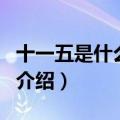 十一五是什么意思（关于十一五是什么意思的介绍）