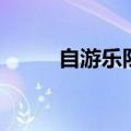 自游乐队（关于自游乐队的介绍）