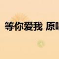 等你爱我 原唱（关于等你爱我 原唱的介绍）