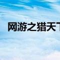 网游之猎天下（关于网游之猎天下的介绍）