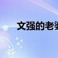 文强的老婆（关于文强的老婆的介绍）