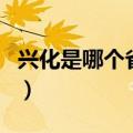 兴化是哪个省的（关于兴化是哪个省的的介绍）