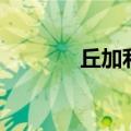 丘加利（关于丘加利的介绍）