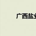 广西盐业（关于广西盐业的介绍）
