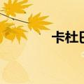 卡杜巴（关于卡杜巴的介绍）