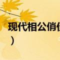 现代相公俏佳人（关于现代相公俏佳人的介绍）