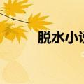 脱水小说（关于脱水小说的介绍）