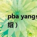 pba yangsang（关于pba yangsang的介绍）