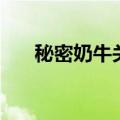 秘密奶牛关（关于秘密奶牛关的介绍）