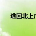 逃回北上广（关于逃回北上广的介绍）