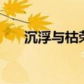 沉浮与枯荣（关于沉浮与枯荣的介绍）
