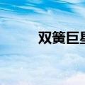 双簧巨星（关于双簧巨星的介绍）