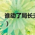 谁动了局长夫人（关于谁动了局长夫人的介绍）