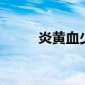 炎黄血少（关于炎黄血少的介绍）