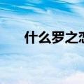 什么罗之恋（关于什么罗之恋的介绍）
