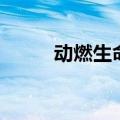 动燃生命（关于动燃生命的介绍）