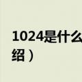 1024是什么意思（关于1024是什么意思的介绍）