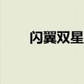 闪翼双星2（关于闪翼双星2的介绍）