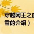 穿越网王之血色染雪（关于穿越网王之血色染雪的介绍）