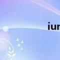 iuni官方旗舰店（iuni）