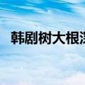 韩剧树大根深（关于韩剧树大根深的介绍）
