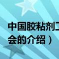 中国胶粘剂工业协会（关于中国胶粘剂工业协会的介绍）