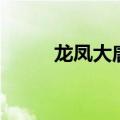 龙凤大唐（关于龙凤大唐的介绍）