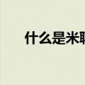 什么是米聊（关于什么是米聊的介绍）