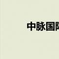 中脉国际（关于中脉国际的介绍）