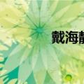 戴海静（关于戴海静的介绍）