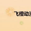 飞橙动漫（关于飞橙动漫的介绍）