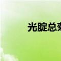 光腚总菊（关于光腚总菊的介绍）