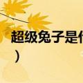 超级兔子是什么（关于超级兔子是什么的介绍）