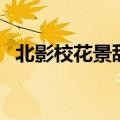 北影校花景甜（关于北影校花景甜的介绍）