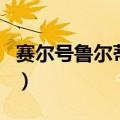 赛尔号鲁尔蒂尼（关于赛尔号鲁尔蒂尼的介绍）