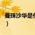 曼珠沙华是什么（关于曼珠沙华是什么的介绍）