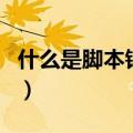 什么是脚本错误（关于什么是脚本错误的介绍）