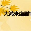 大鸿米店剧情（关于大鸿米店剧情的介绍）