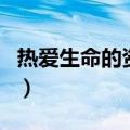 热爱生命的资料（关于热爱生命的资料的介绍）