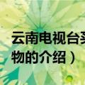 云南电视台买乐购物（关于云南电视台买乐购物的介绍）