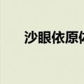 沙眼依原体（关于沙眼依原体的介绍）