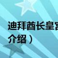 迪拜酋长皇宫酒店（关于迪拜酋长皇宫酒店的介绍）