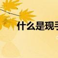 什么是现手（关于什么是现手的介绍）