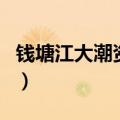 钱塘江大潮资料（关于钱塘江大潮资料的介绍）