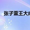 张子萱王大成（关于张子萱王大成的介绍）
